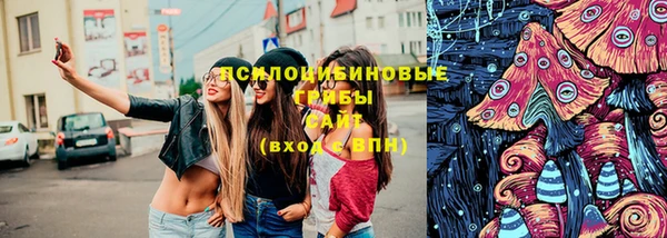Альфа ПВП Богородск