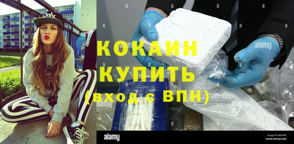 прущие грибы Заводоуковск