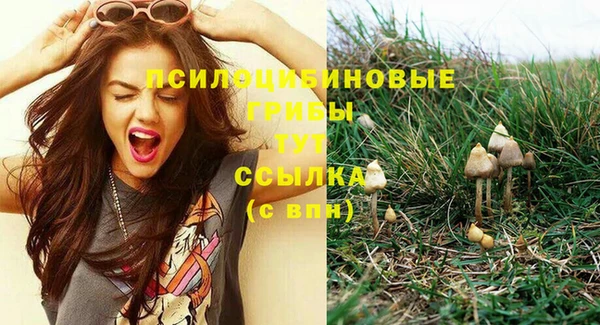 Альфа ПВП Богородск