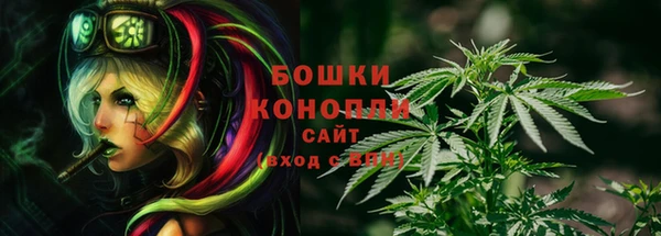 Альфа ПВП Богородск